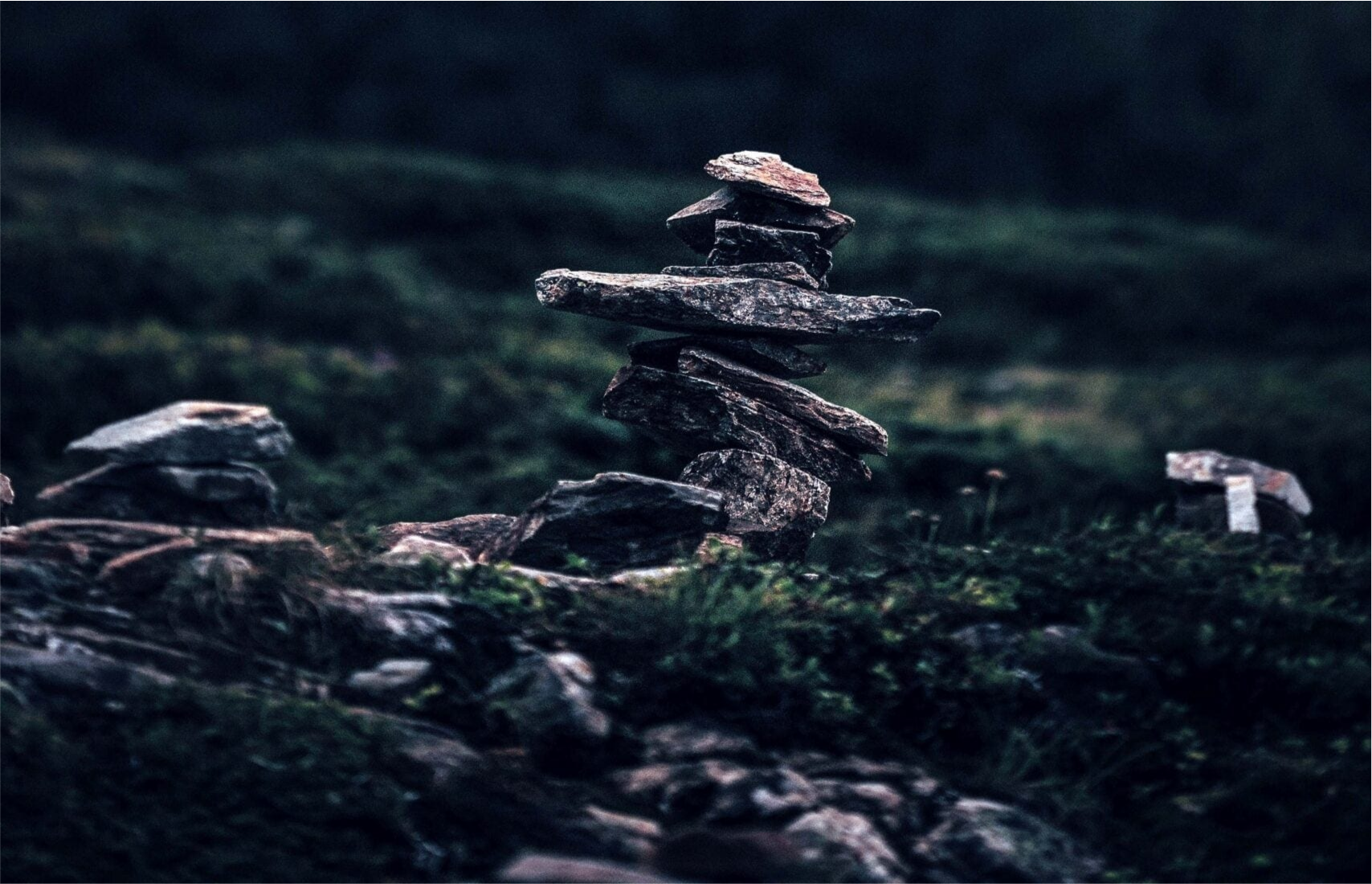 Rock, Agaric, Fungus